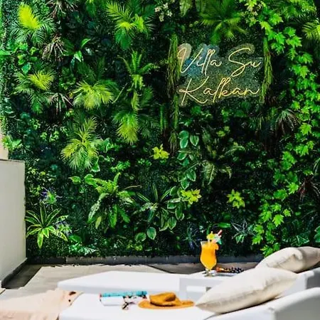 빌라 Su In Kalkan 1 *